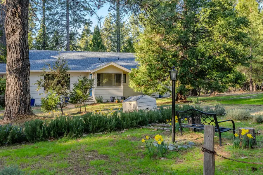 22401 Shake Ridge Road, Volcano, CA 95689 - #2