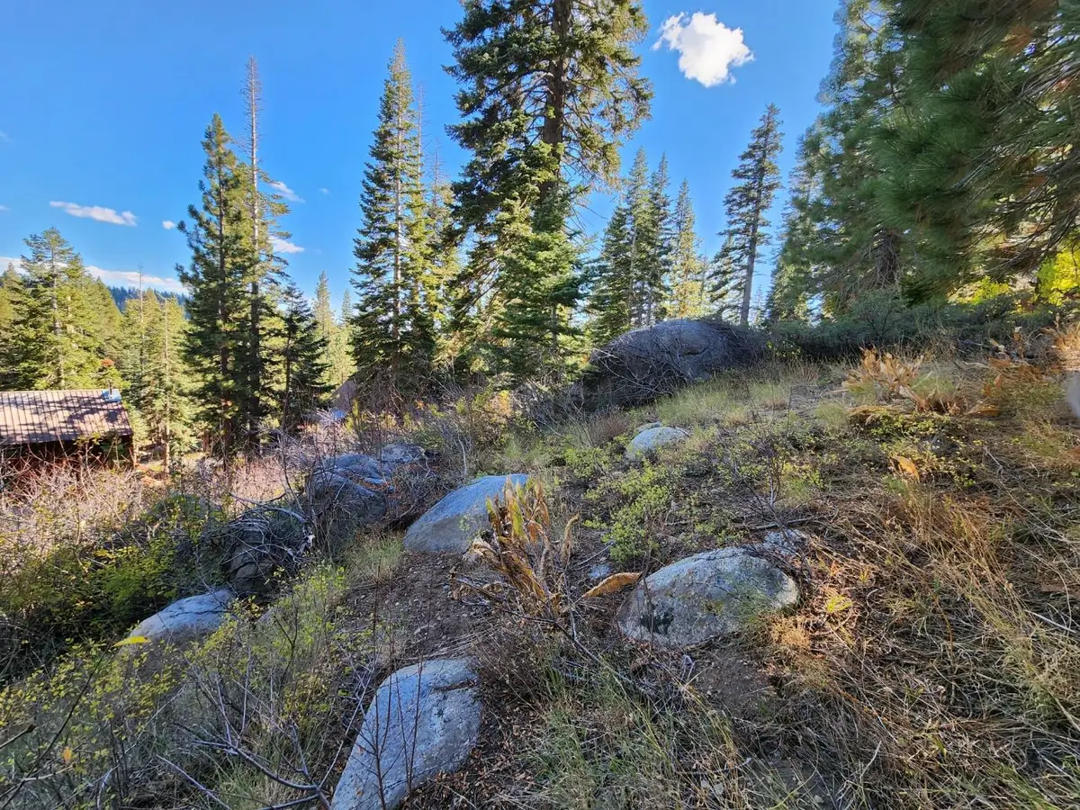 148 John Ebbetts Road, Bear Valley, CA 95223 - #1