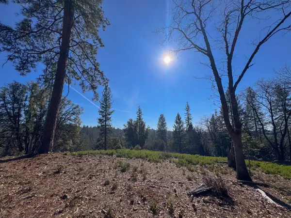 17414 You Bet Road, Grass Valley, CA 95945