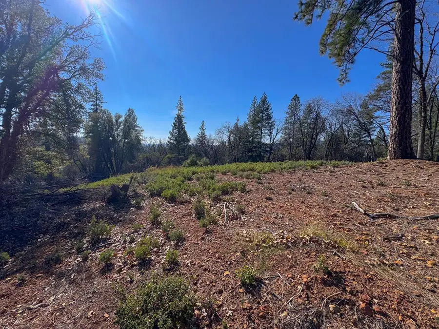17414 You Bet Road, Grass Valley, CA 95945 - #3