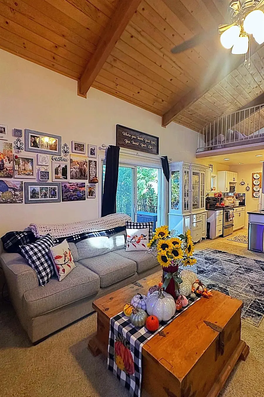 2881 Birch Court, Camino, CA 95709 - #3