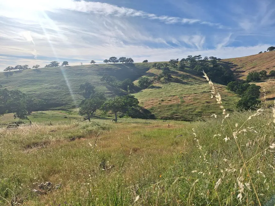 9987 Hernandez Drive, La Grange, CA 95329 - #2