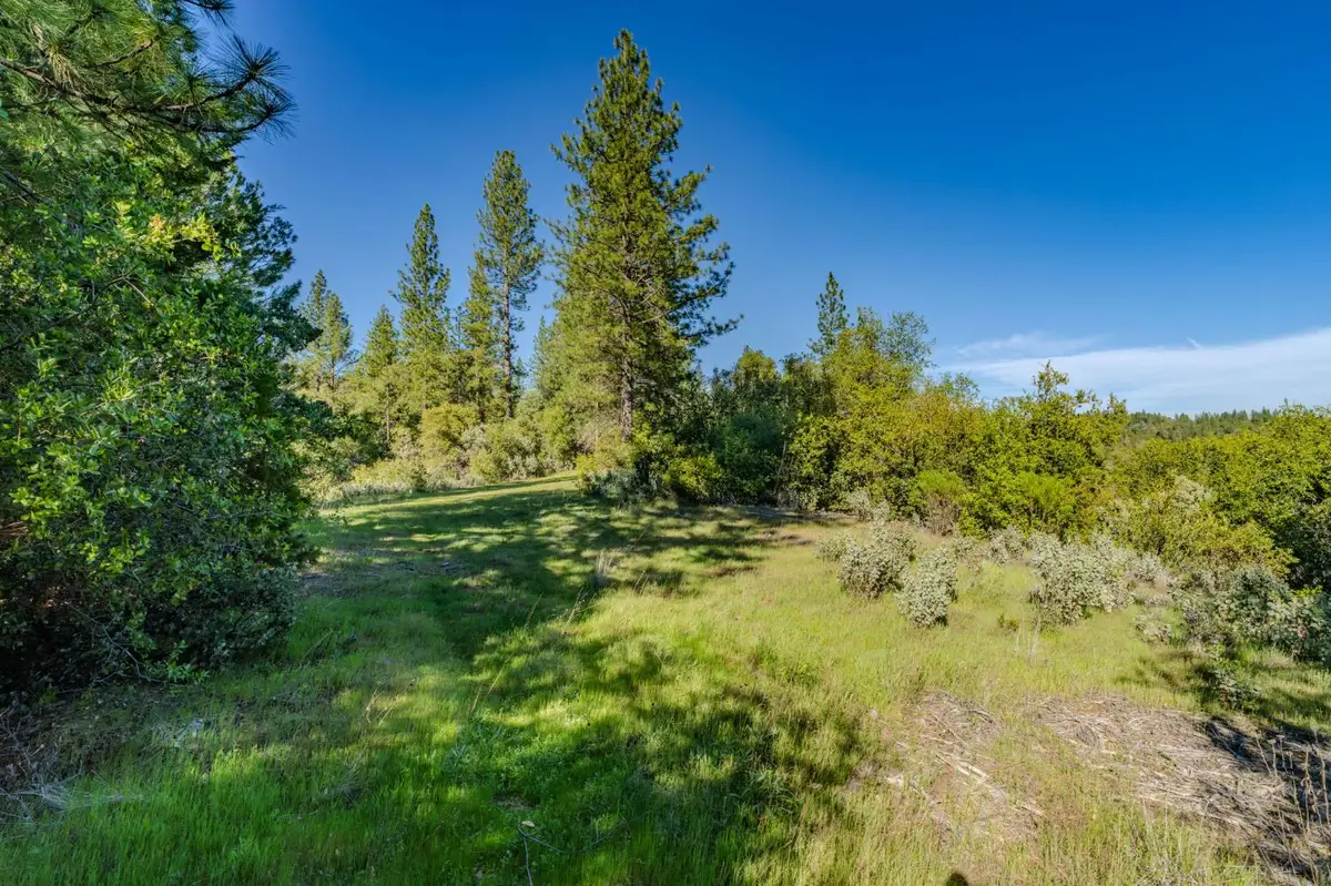 16480 Ponderosa Way, Volcano, CA 95689 - #1