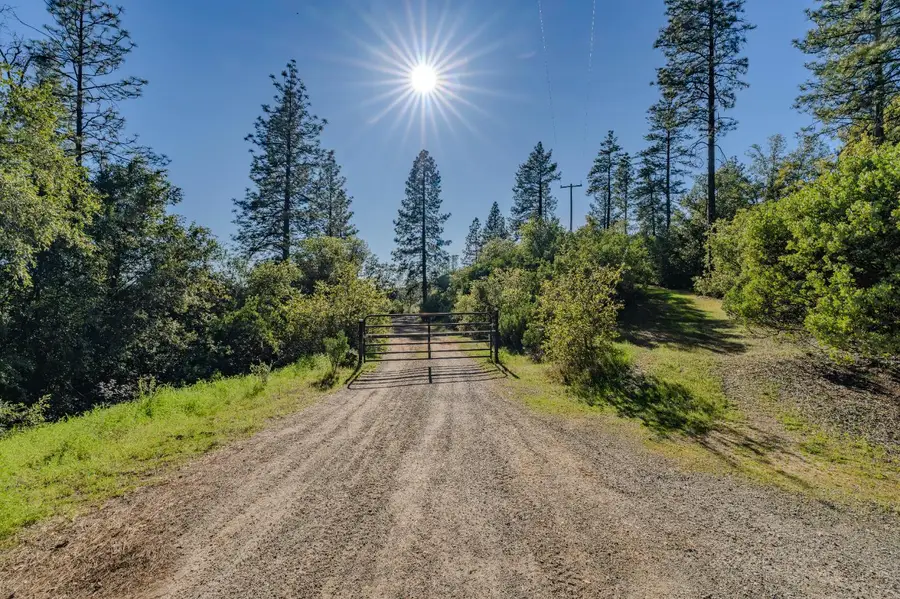 16490 Ponderosa Way, Volcano, CA 95689 - #3