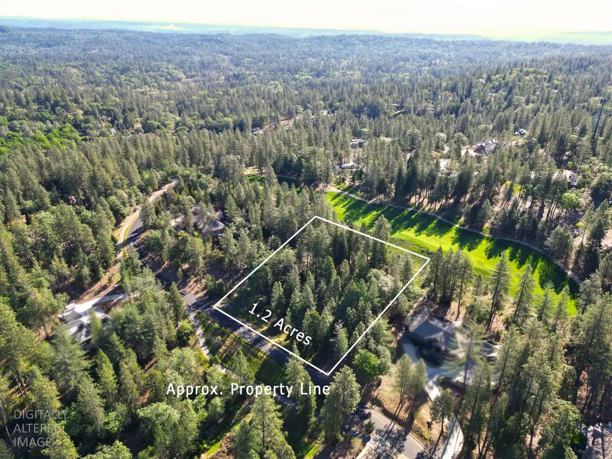 1711 The Point Rd, Meadow Vista, CA 95722 - #1