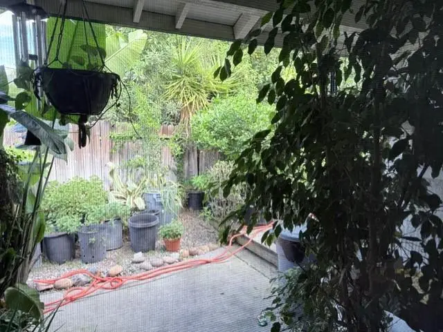 6838 Olive Tree Way, Citrus Heights, CA 95610 - #2