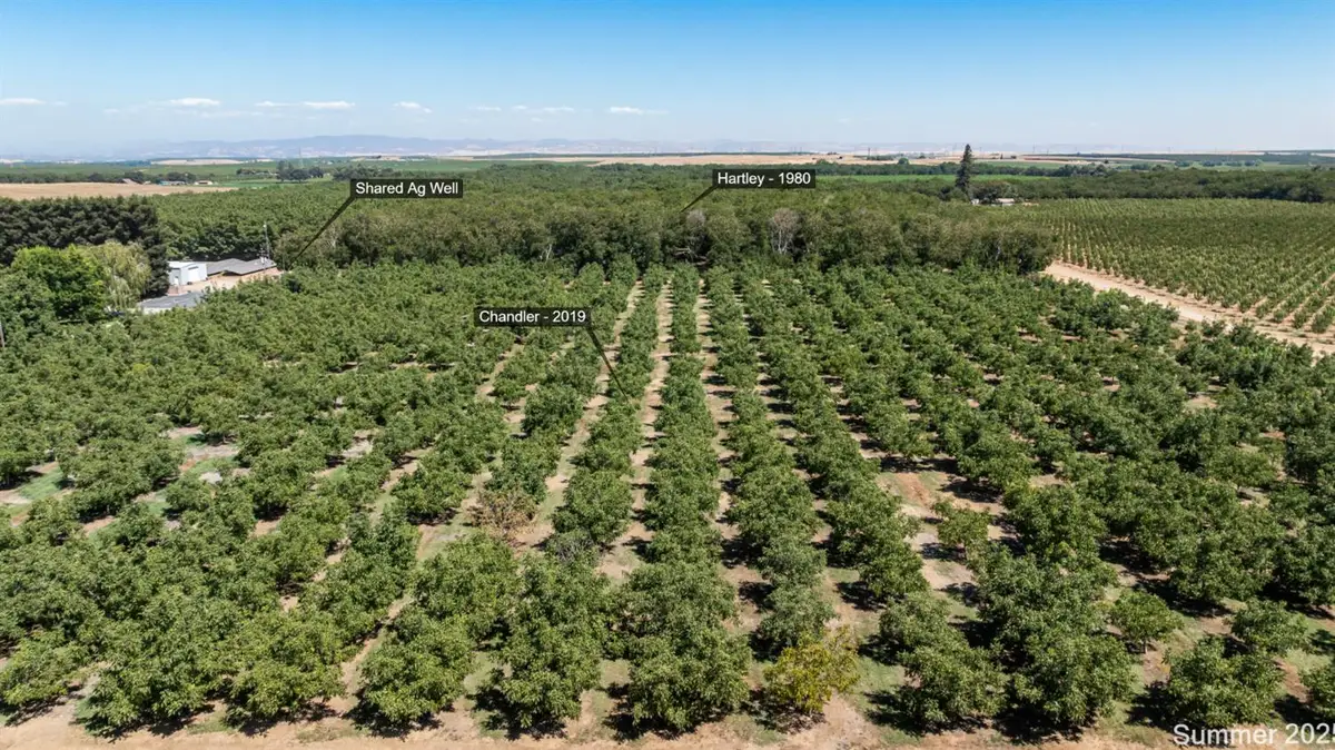 5210 N Fine Road, Linden, CA 95236 - #1