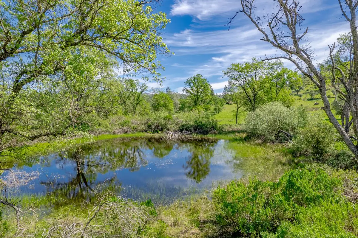 11923 Loma Rica Road, Marysville, CA 95901 - #1