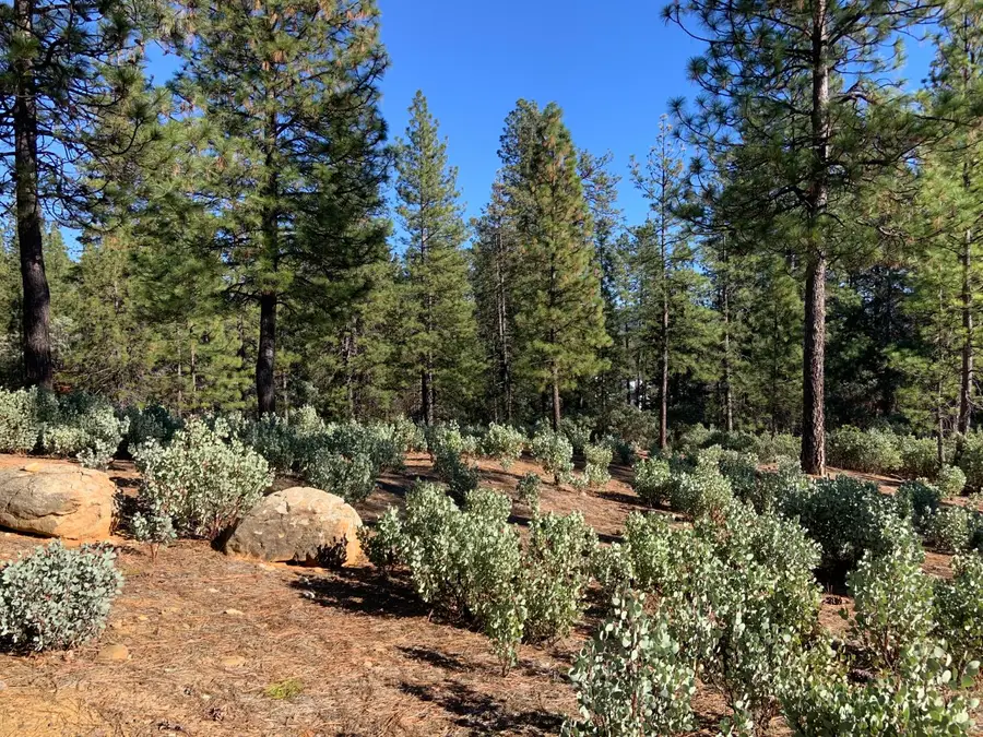 530 Lost Hill Court, Nevada City, CA 95959 - #2