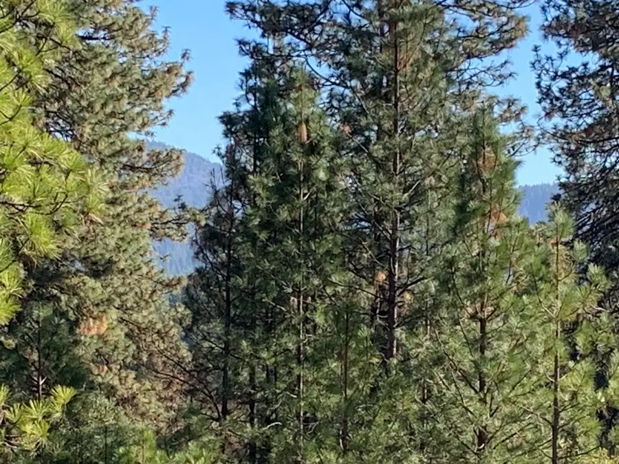 530 Lost Hill Court, Nevada City, CA 95959 - #3