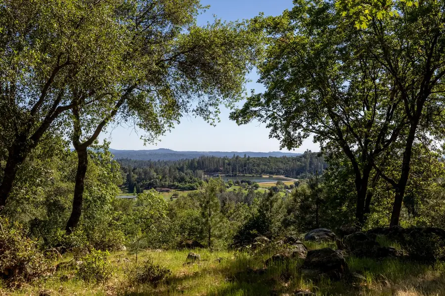 1235 Forest View Drive, Meadow Vista, CA 95722 - #2