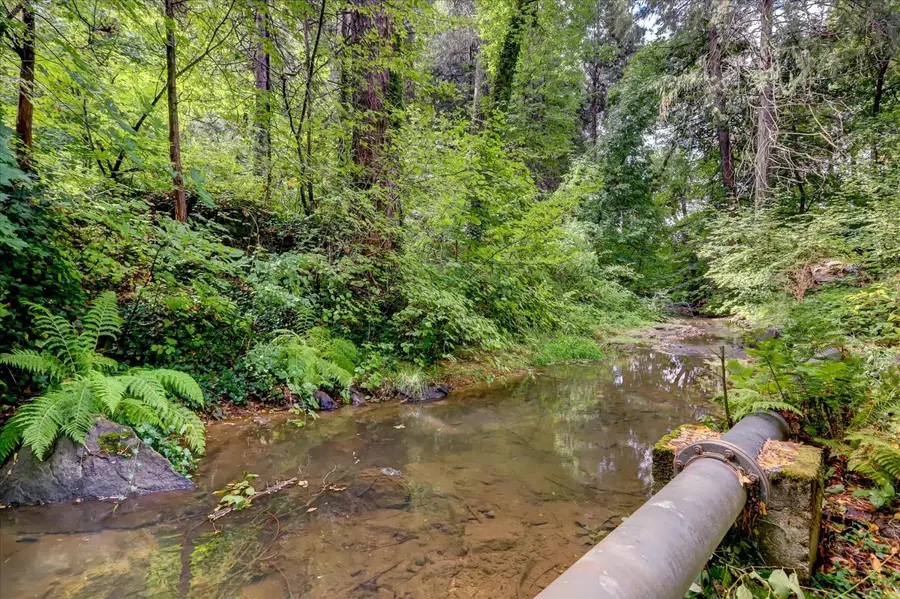 134 Boulder Street, Nevada City, CA 95959 - #3