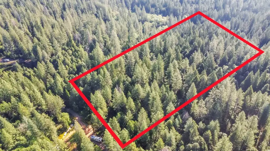 13134 Moonshine Road, Camptonville, CA 95922 - #3