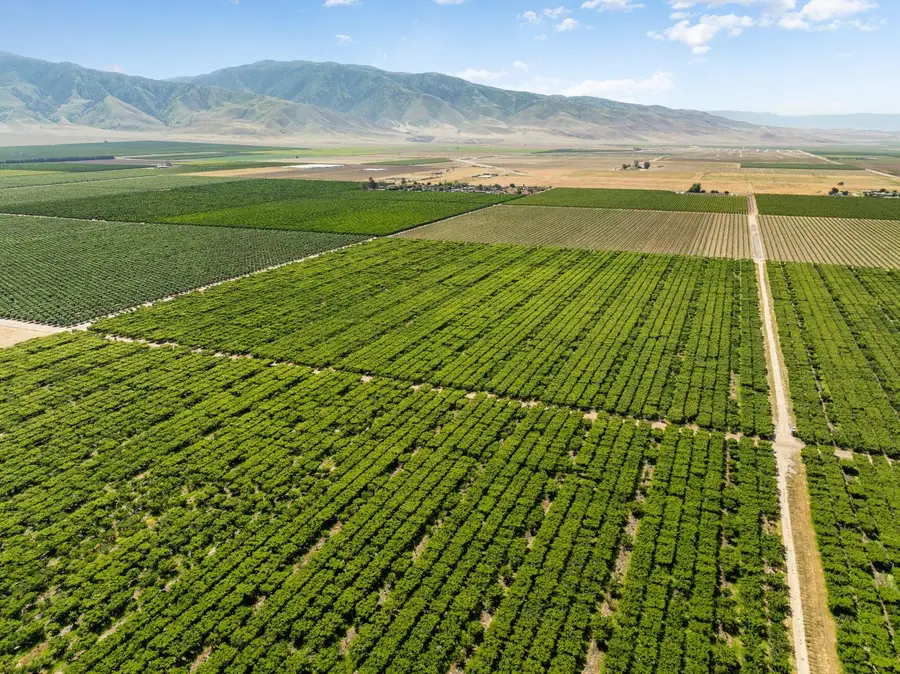 0 Rock Pile, Arvin, CA 93203 - #2