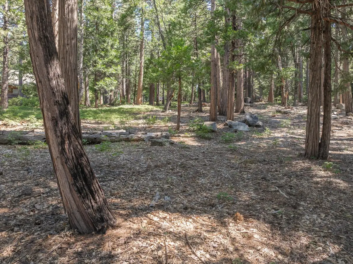 926 Shoshone, Camp Connell, CA 95223 - #1