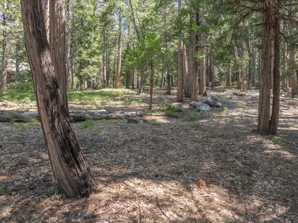 926 Shoshone, Camp Connell, CA 95223