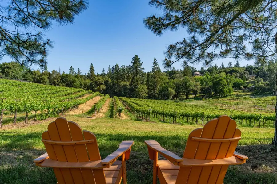 16915 Red Mule Road, Fiddletown, CA 95629 - #3