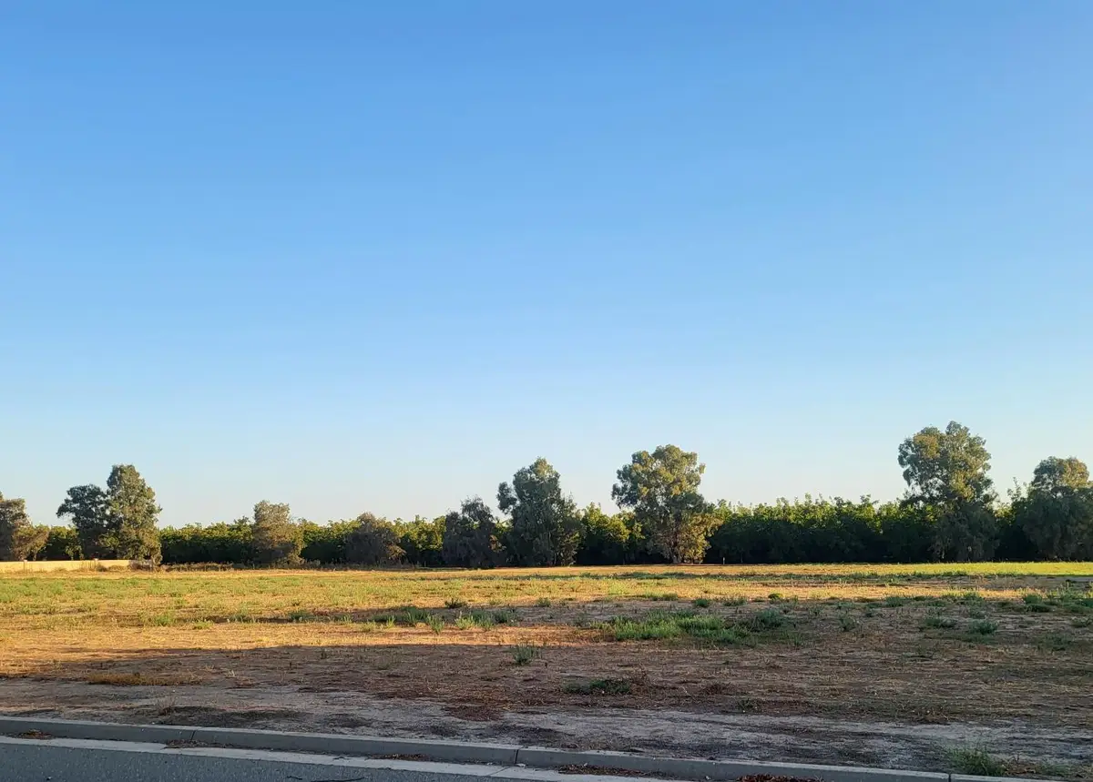 278 Lee Road, Nicolaus, CA 95659 - #1