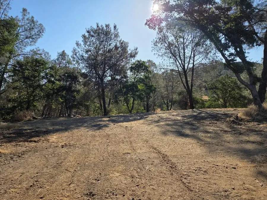 4493 Buckboard Lane, Campo Seco, CA 95226 - #3