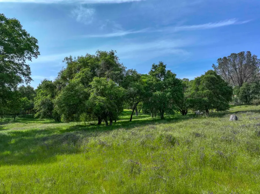 1301 Lomita Court, El Dorado Hills, CA 95762 - #3