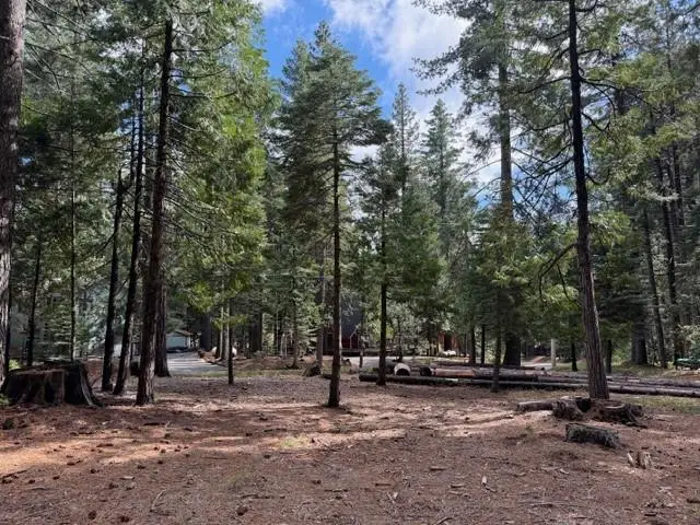 1510 Pawnee Drive, Dorrington, CA 95223 - #1