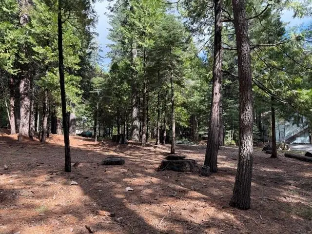 1510 Pawnee Drive, Dorrington, CA 95223 - #2