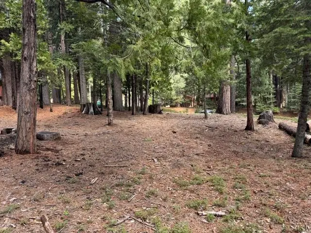 1510 Pawnee Drive, Dorrington, CA 95223 - #3