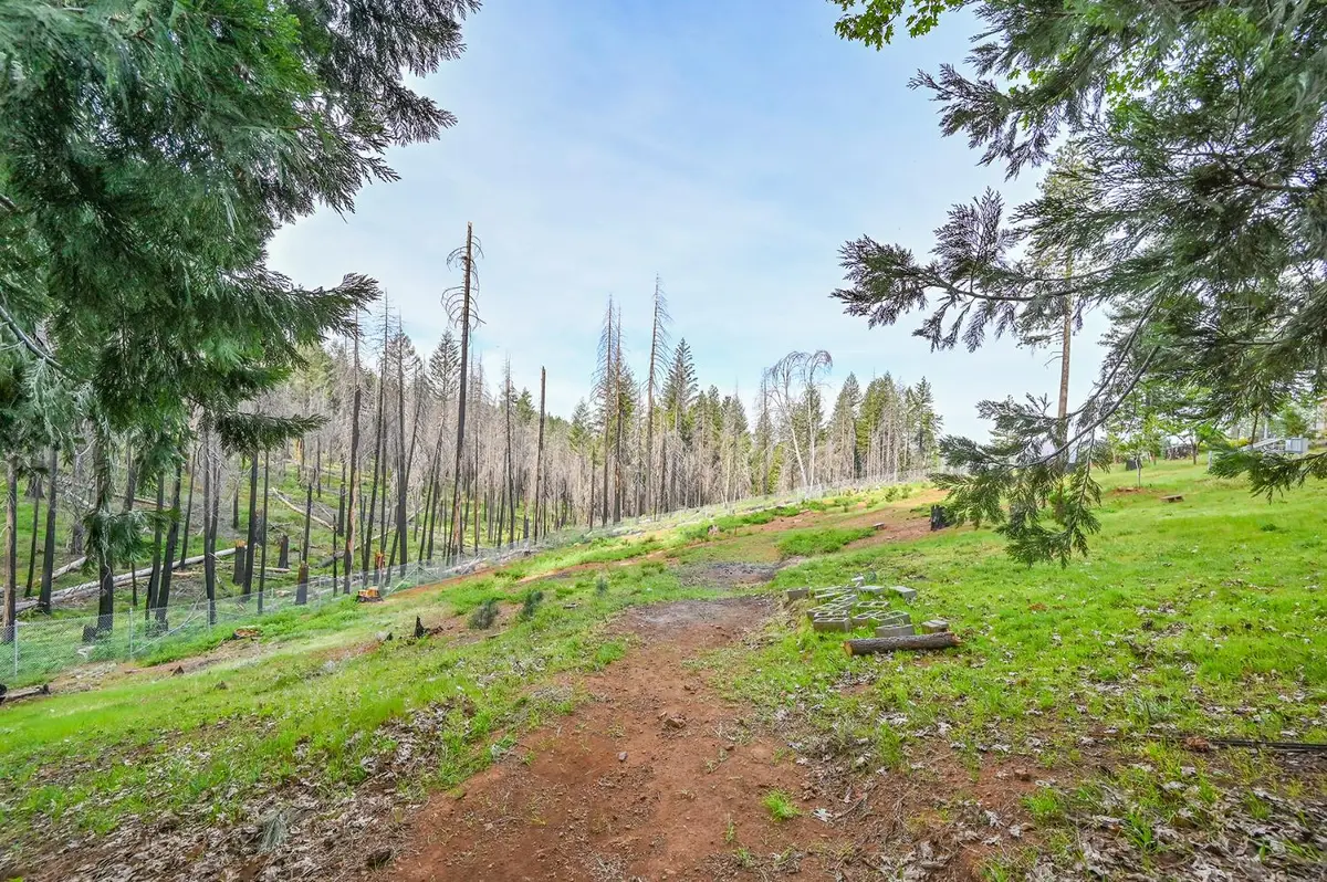 5194 Woodhaven, Grizzly Flats, CA 95636 - #1