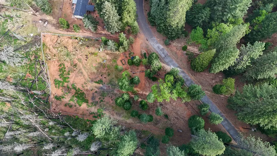 5194 Woodhaven, Grizzly Flats, CA 95636 - #2