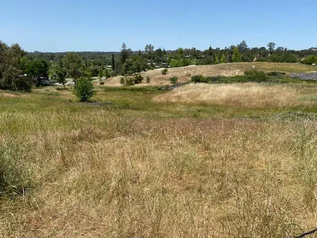 6401 Brodie Drive, Newcastle, CA 95658 - #1