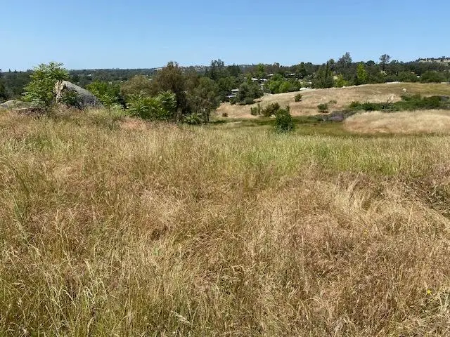 6401 Brodie Drive, Newcastle, CA 95658 - #3