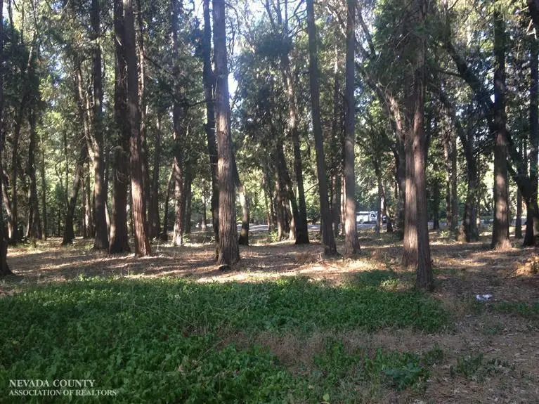 13004 Somerset Drive, Grass Valley, CA 95945 - #1
