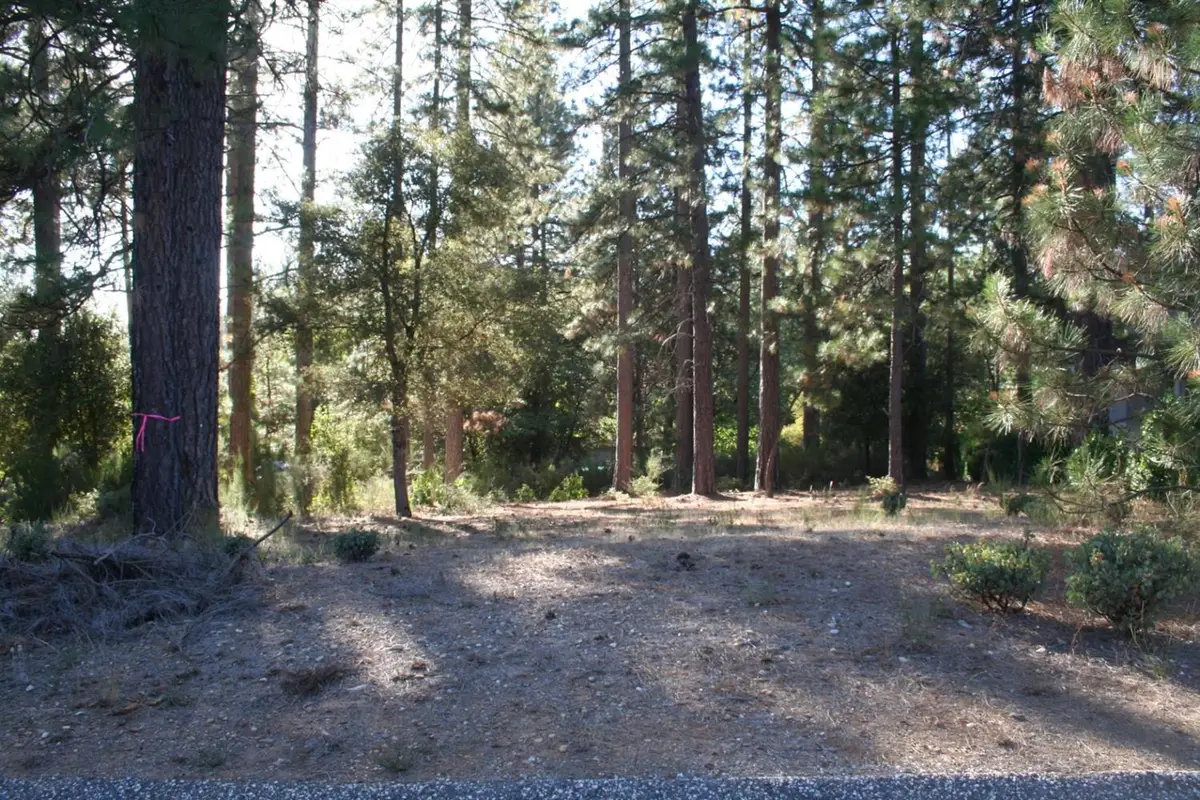 651 Chief Kelly Drive, Nevada City, CA 95959 - #1