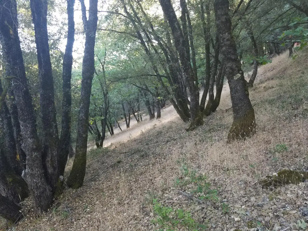 16424 Annie Drive, Grass Valley, CA 95949 - #1