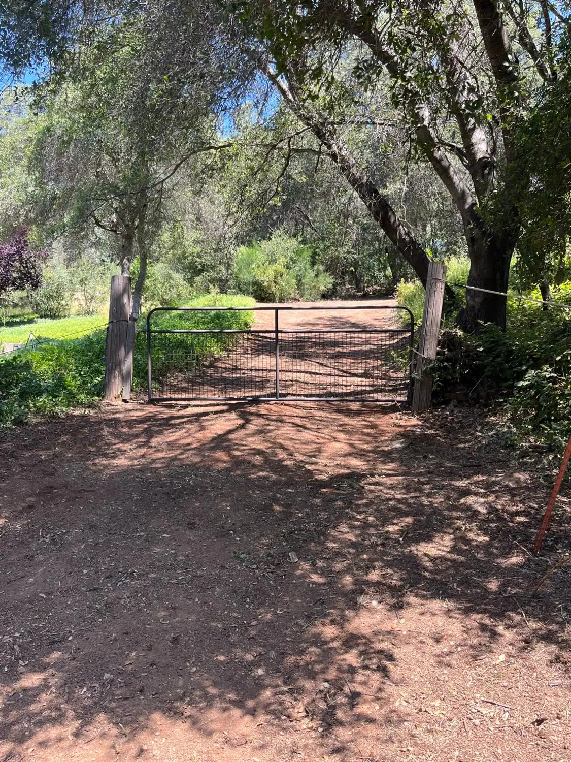 202 Mulberry Lane, Auburn, CA 95603 - #1