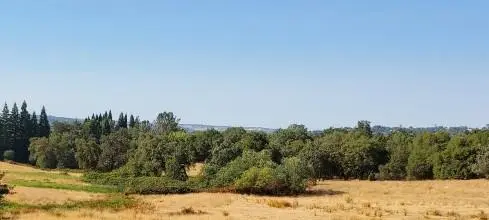 6174 Mount Pleasant Road, Lincoln, CA 95648 - #2