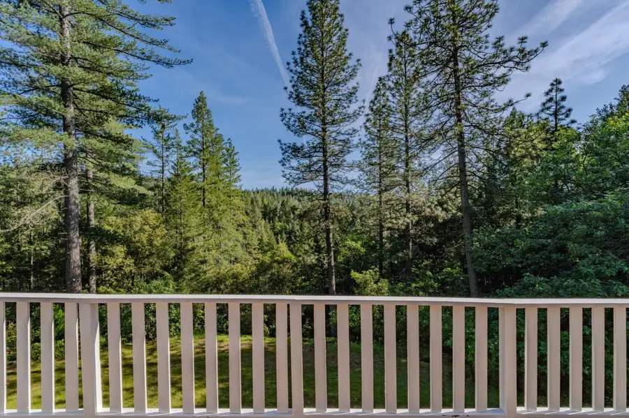 21640 Clute Canyon Road, Volcano, CA 95689 - #2