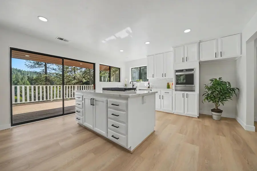 21640 Clute Canyon Road, Volcano, CA 95689 - #3