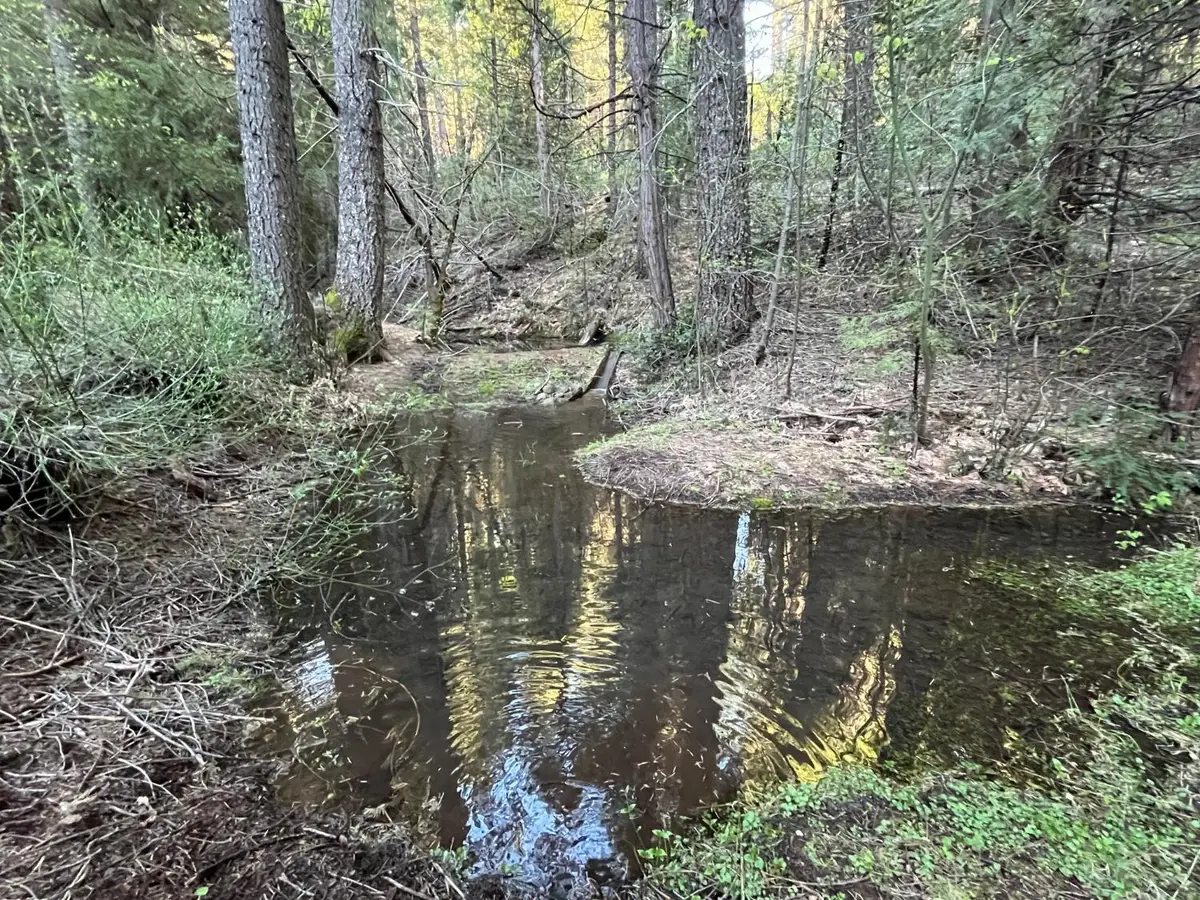 18035 Mobley Springs Road, Nevada City, CA 95959 - #1