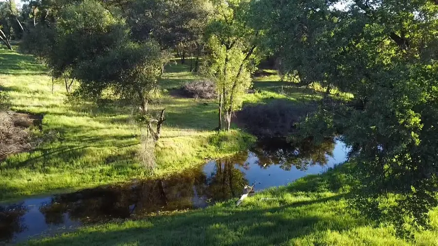 29600 Mccourtney Road, Wheatland, CA 95692 - #2