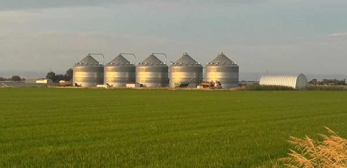 9500 Sunset Boulevard, Pleasant Grove, CA 95668 - #1