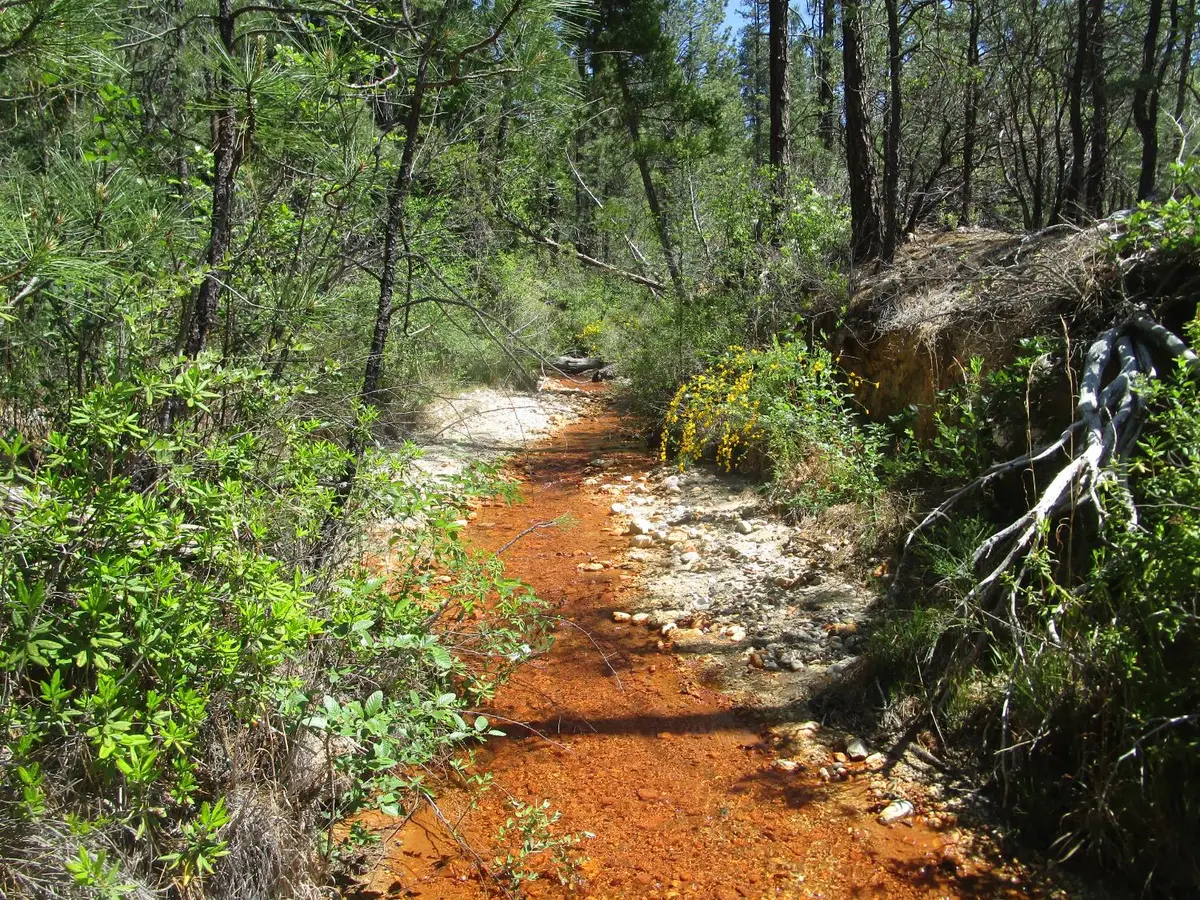 15699 Tyler Foote Road, Nevada City, CA 95959 - #1