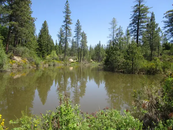 16289 Badger Hill Road, Nevada City, CA 95959