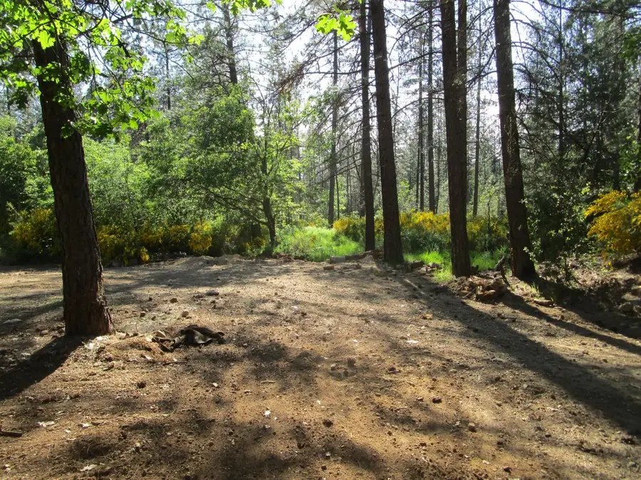 16289 Badger Hill Road, Nevada City, CA 95959 - #3