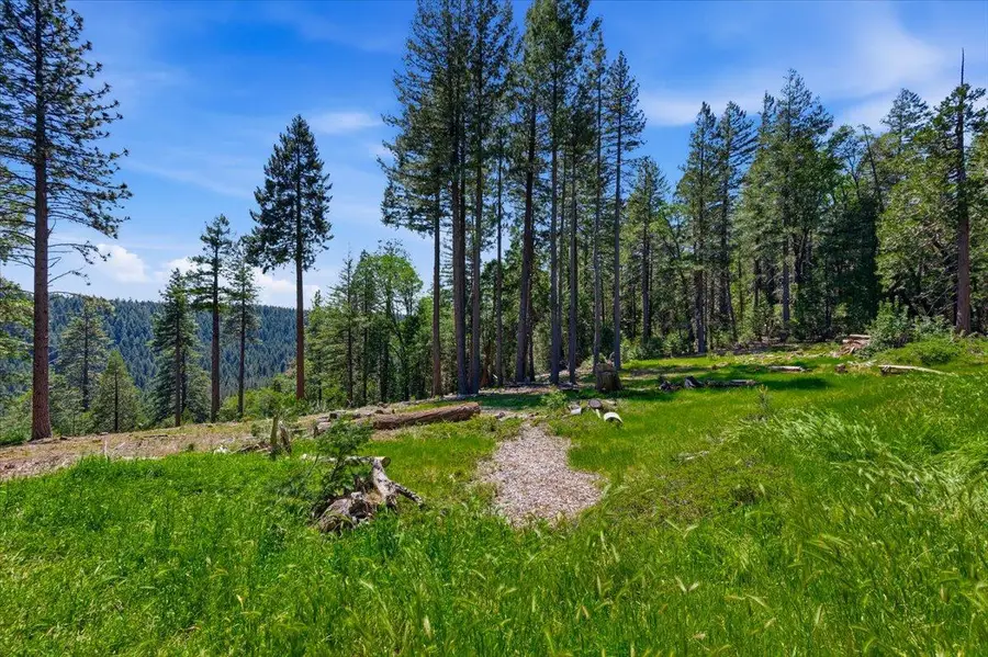 13907 Lightning Tree Road, Nevada City, CA 95959 - #2