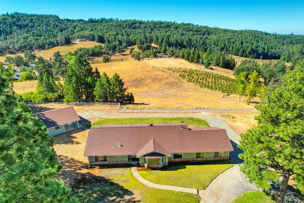 3700 Wilson Loop, Placerville, CA 95667 - #1