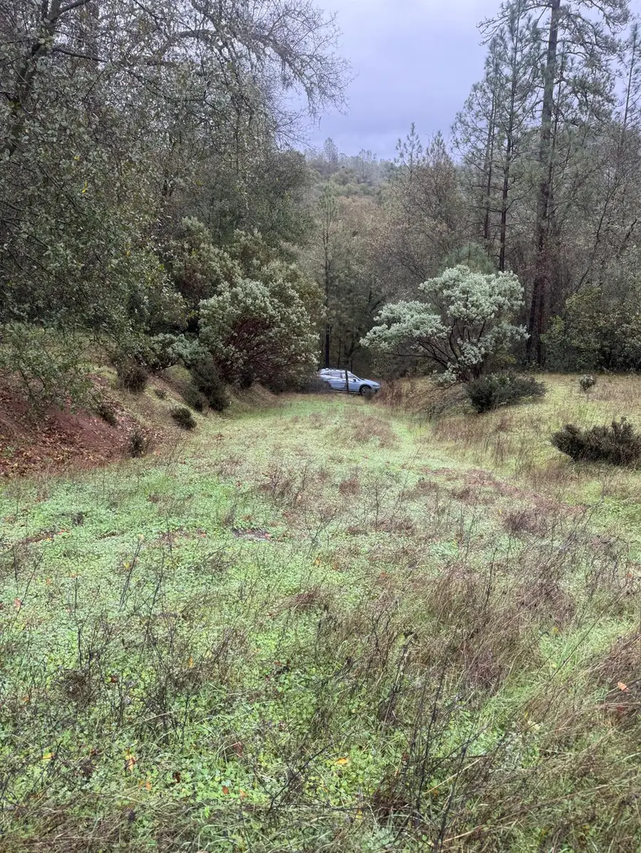 3200 Bird Haven Loop, Cool, CA 95614 - #2