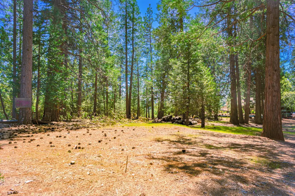 25594 Overland Drive, Volcano, CA 95689 - #1