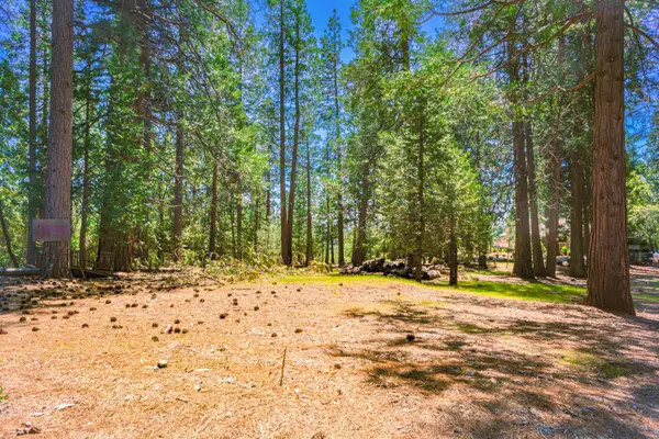 25594 Overland Drive, Volcano, CA 95689