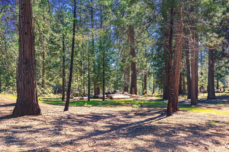 25594 Overland Drive, Volcano, CA 95689 - #2